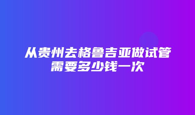 从贵州去格鲁吉亚做试管需要多少钱一次