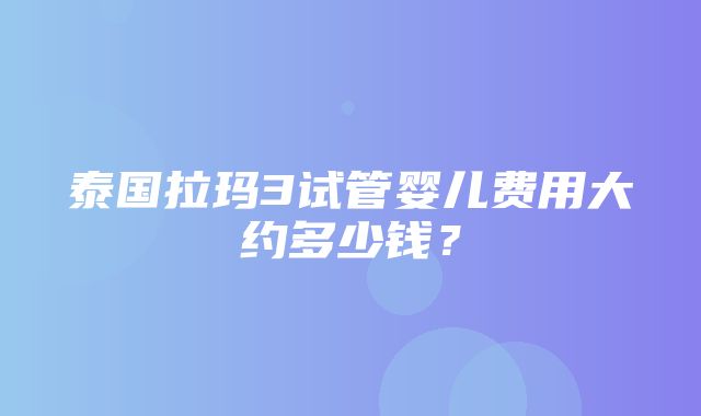 泰国拉玛3试管婴儿费用大约多少钱？