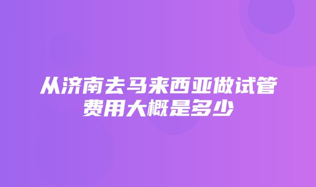 从济南去马来西亚做试管费用大概是多少