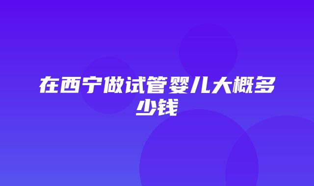 在西宁做试管婴儿大概多少钱