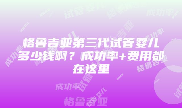 格鲁吉亚第三代试管婴儿多少钱啊？成功率+费用都在这里