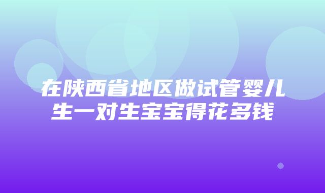 在陕西省地区做试管婴儿生一对生宝宝得花多钱