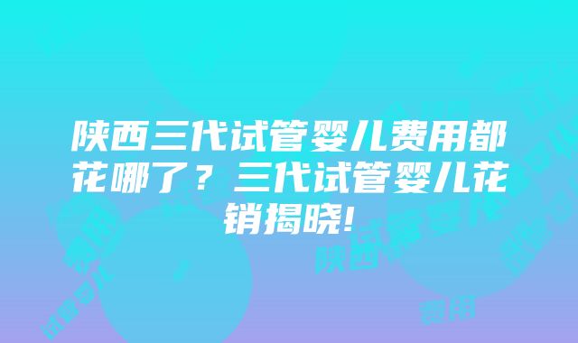 陕西三代试管婴儿费用都花哪了？三代试管婴儿花销揭晓!