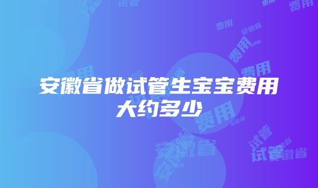 安徽省做试管生宝宝费用大约多少