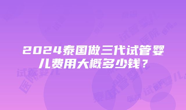 2024泰国做三代试管婴儿费用大概多少钱？