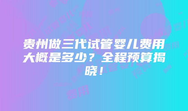 贵州做三代试管婴儿费用大概是多少？全程预算揭晓！