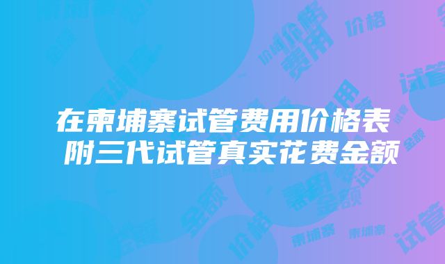 在柬埔寨试管费用价格表 附三代试管真实花费金额