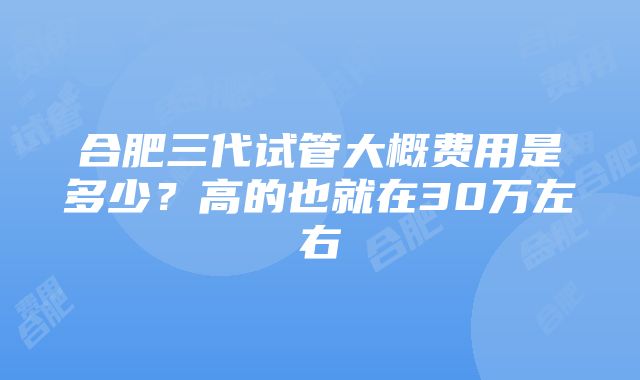 合肥三代试管大概费用是多少？高的也就在30万左右