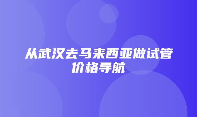 从武汉去马来西亚做试管价格导航