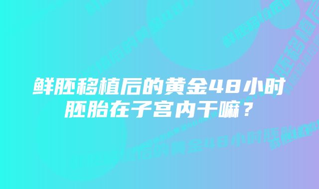 鲜胚移植后的黄金48小时胚胎在子宫内干嘛？