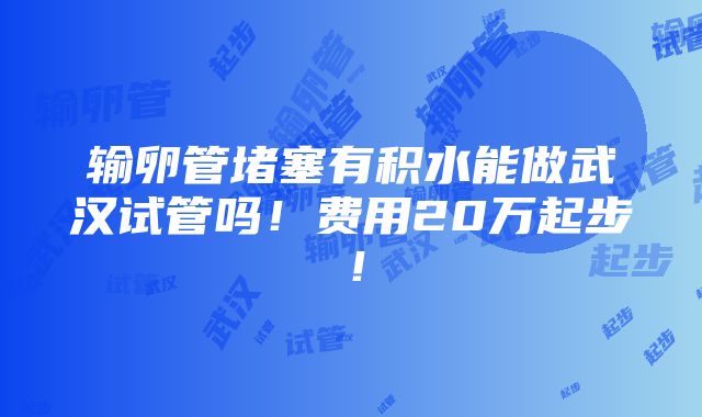 输卵管堵塞有积水能做武汉试管吗！费用20万起步！