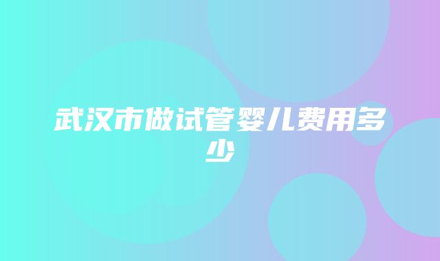 武汉市做试管婴儿费用多少