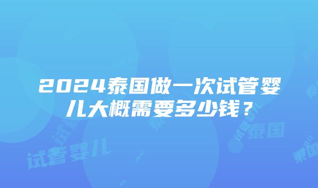 2024泰国做一次试管婴儿大概需要多少钱？