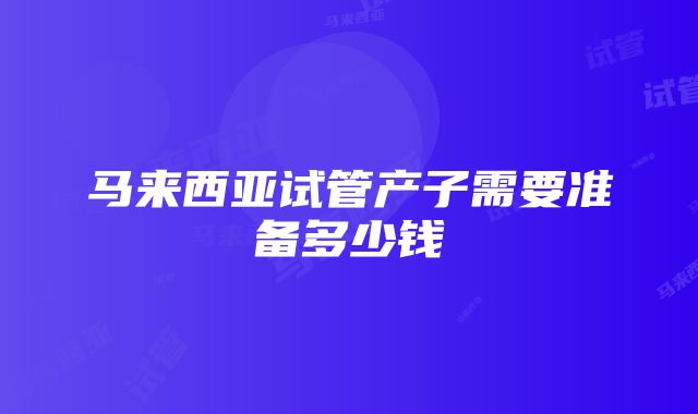 马来西亚试管产子需要准备多少钱