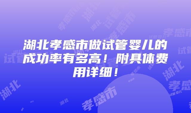 湖北孝感市做试管婴儿的成功率有多高！附具体费用详细！