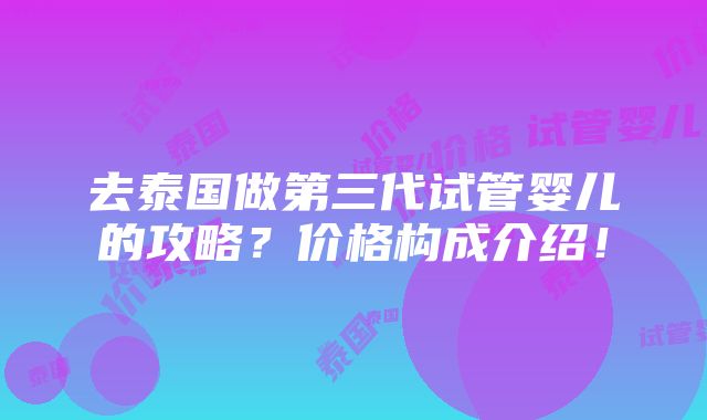 去泰国做第三代试管婴儿的攻略？价格构成介绍！