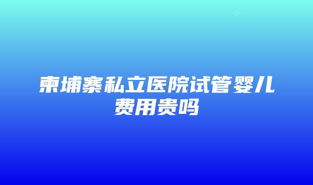 柬埔寨私立医院试管婴儿费用贵吗