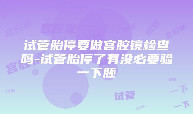 试管胎停要做宫腔镜检查吗-试管胎停了有没必要验一下胚