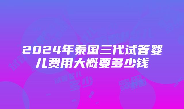 2024年泰国三代试管婴儿费用大概要多少钱