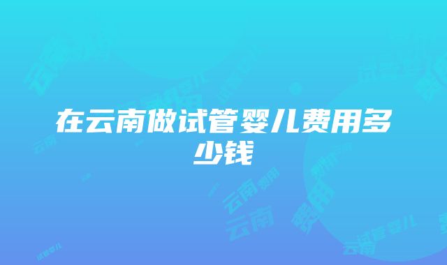 在云南做试管婴儿费用多少钱