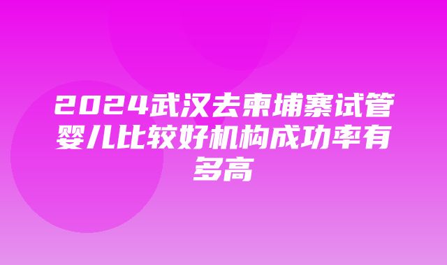 2024武汉去柬埔寨试管婴儿比较好机构成功率有多高