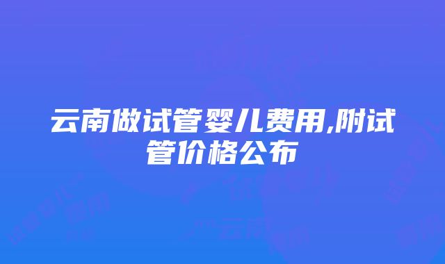 云南做试管婴儿费用,附试管价格公布