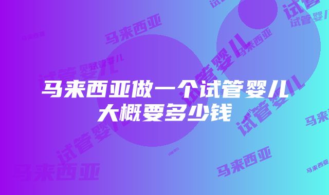 马来西亚做一个试管婴儿大概要多少钱