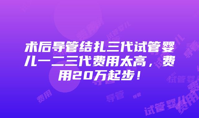 术后导管结扎三代试管婴儿一二三代费用太高，费用20万起步！