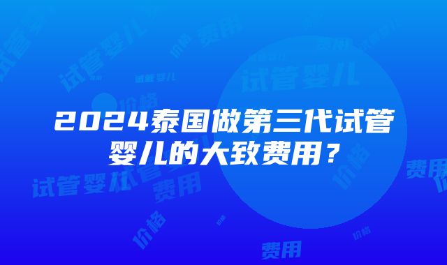 2024泰国做第三代试管婴儿的大致费用？