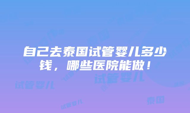 自己去泰国试管婴儿多少钱，哪些医院能做！