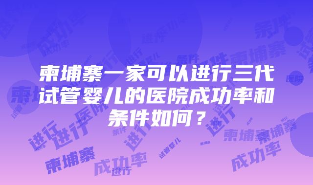 柬埔寨一家可以进行三代试管婴儿的医院成功率和条件如何？