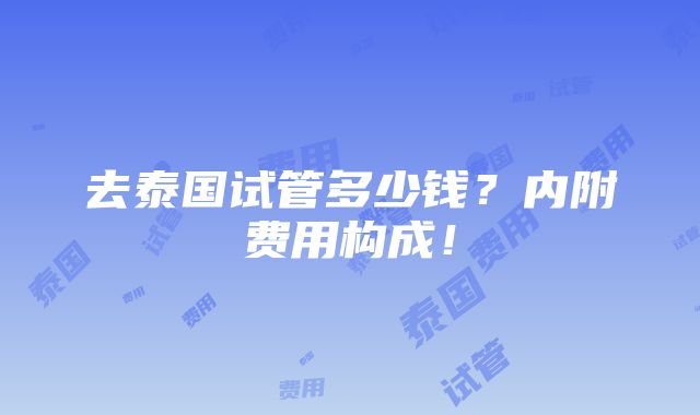 去泰国试管多少钱？内附费用构成！