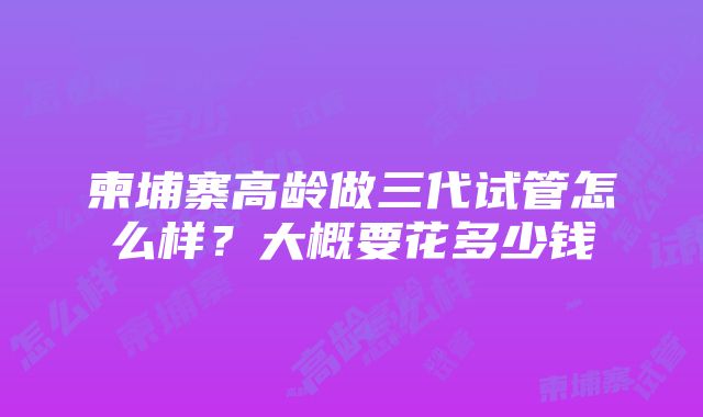 柬埔寨高龄做三代试管怎么样？大概要花多少钱