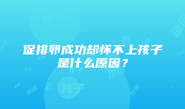 促排卵成功却怀不上孩子是什么原因？