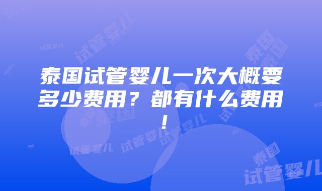 泰国试管婴儿一次大概要多少费用？都有什么费用！