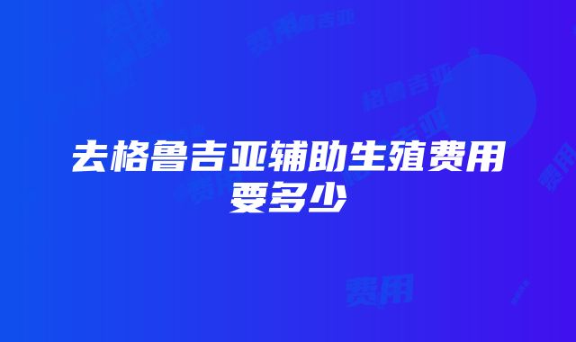 去格鲁吉亚辅助生殖费用要多少