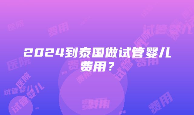 2024到泰国做试管婴儿费用？