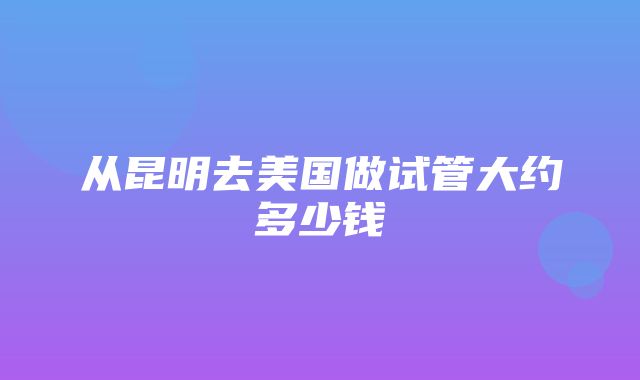 从昆明去美国做试管大约多少钱