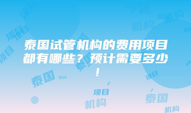 泰国试管机构的费用项目都有哪些？预计需要多少！