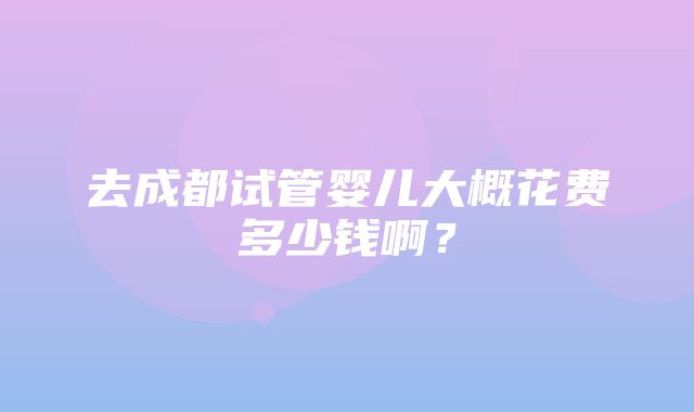 去成都试管婴儿大概花费多少钱啊？