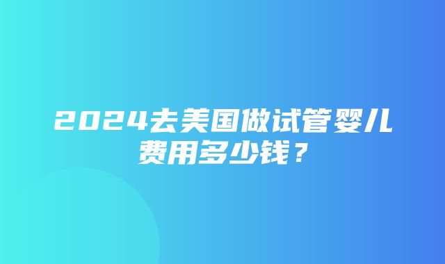 2024去美国做试管婴儿费用多少钱？