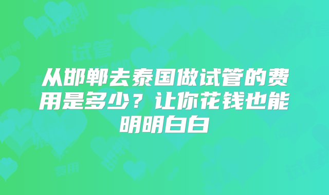 从邯郸去泰国做试管的费用是多少？让你花钱也能明明白白