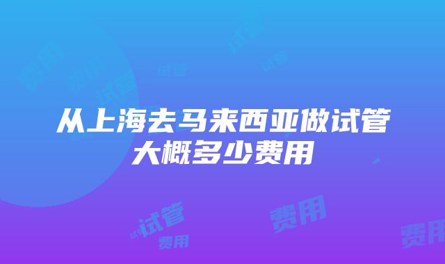 从上海去马来西亚做试管大概多少费用