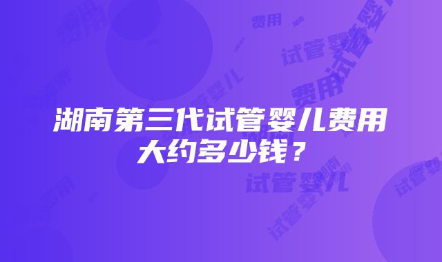 湖南第三代试管婴儿费用大约多少钱？