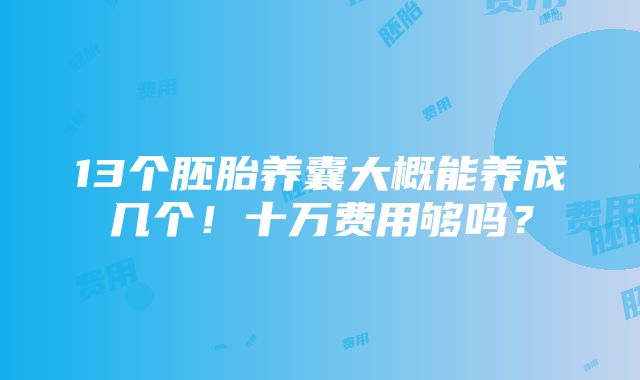 13个胚胎养囊大概能养成几个！十万费用够吗？