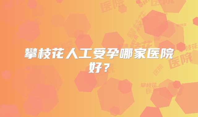 攀枝花人工受孕哪家医院好？