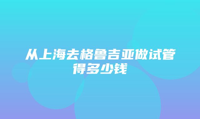 从上海去格鲁吉亚做试管得多少钱