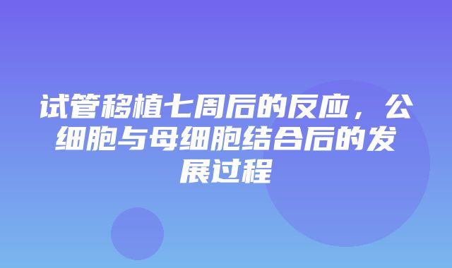 试管移植七周后的反应，公细胞与母细胞结合后的发展过程