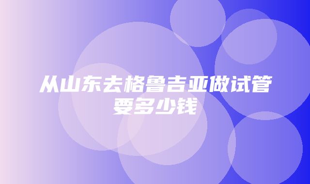 从山东去格鲁吉亚做试管要多少钱