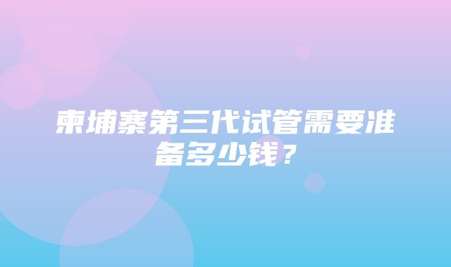 柬埔寨第三代试管需要准备多少钱？